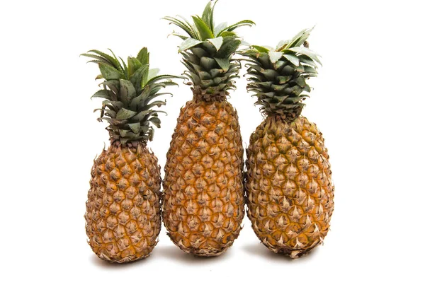 Rijp verse ananas — Stockfoto