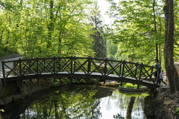 Parktaki eski ahşap köprü — Stok fotoğraf