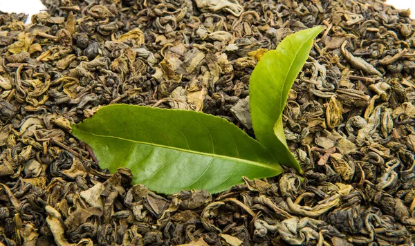 Té verde fresco —  Fotos de Stock