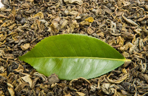 Zielona herbata świeży — Zdjęcie stockowe