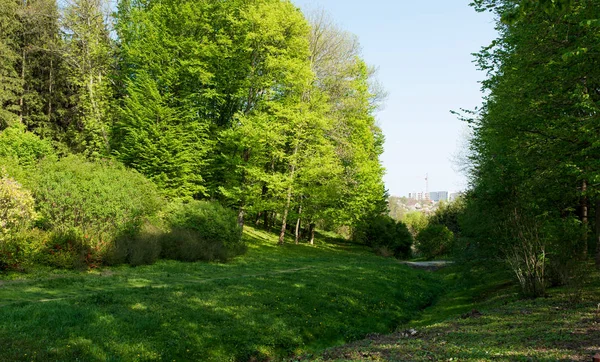 Spring landscape in the park — Stock Photo, Image