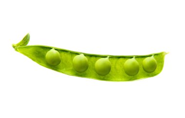 İzole yeşil genç bezelye 