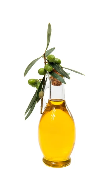 Oliwa z oliwek oddział — Zdjęcie stockowe
