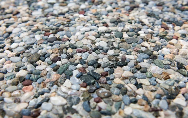 Background of pebbles close-up — Stock Photo, Image
