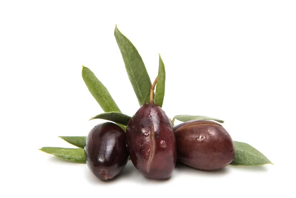 Olives fruits isolés — Photo