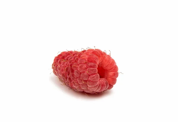 고립 된 신선한 나무 딸기 — 스톡 사진