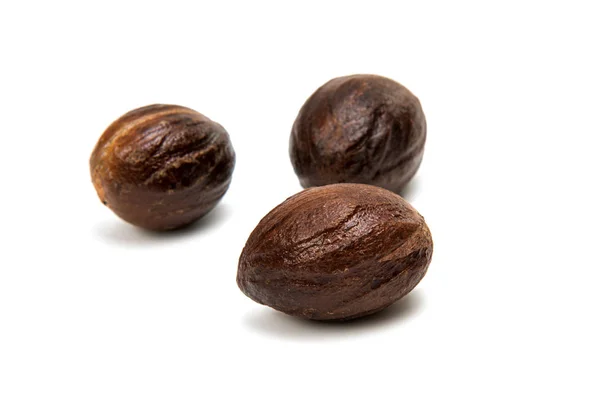 Muškátový ořech hnědý, samostatný — Stock fotografie