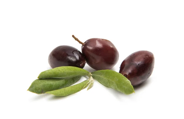 Greece olives isolated — Stock Photo, Image