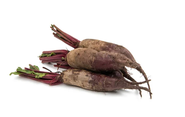 Beet agriculture isolated — Stock Photo, Image