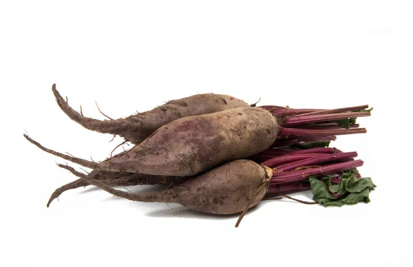 Beet agriculture isolated — Stock Photo, Image