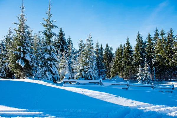 Prachtig winterlandschap — Stockfoto