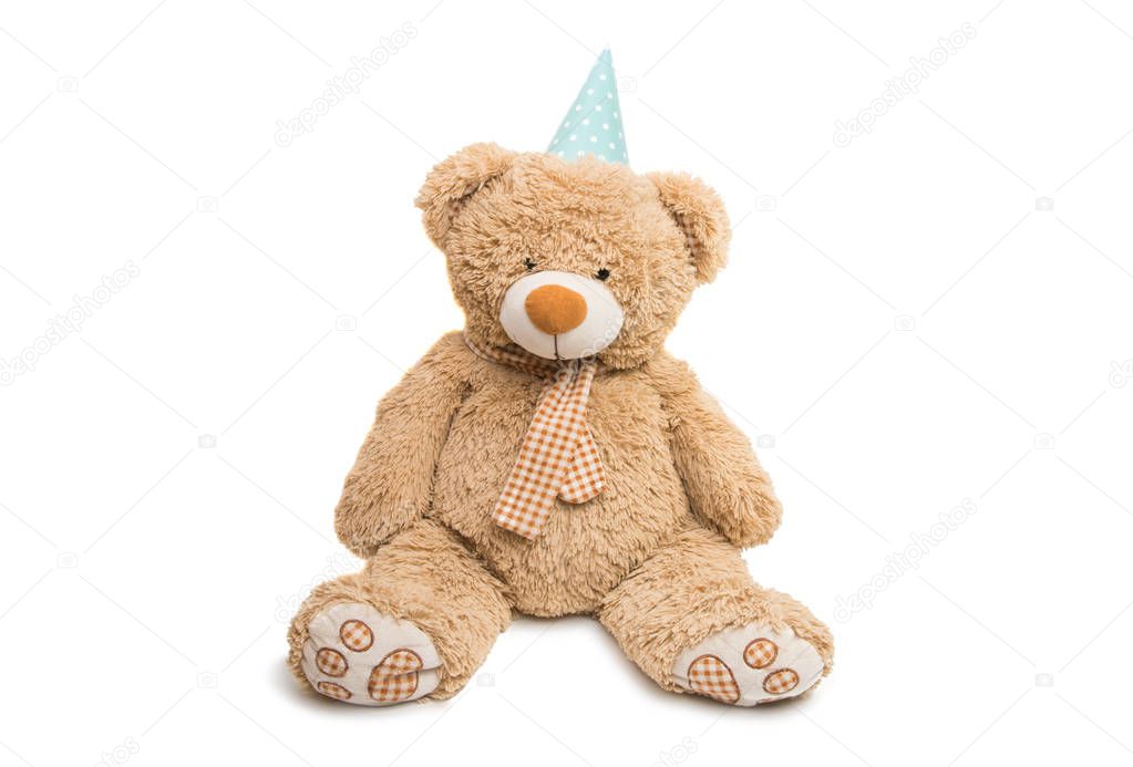 Soft toy bear isolated