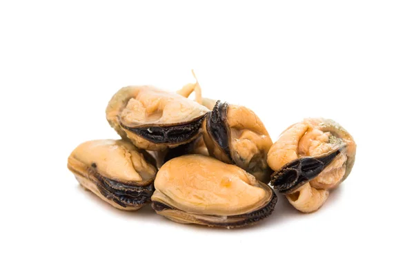 Mussels sea food isolated — Stock Photo, Image