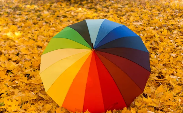 Gekleurde paraplu concept — Stockfoto