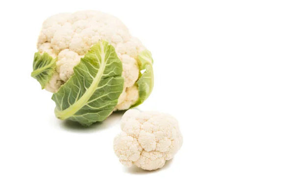 Cauliflower agriculture isolated — Stock Photo, Image