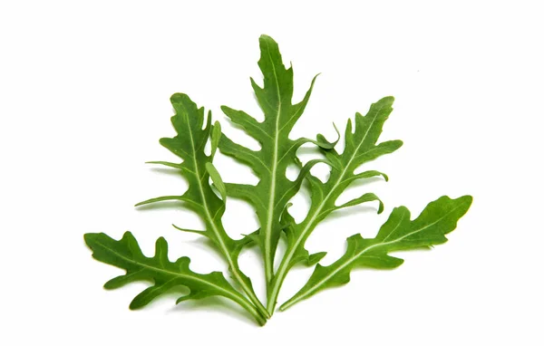 Blätter von Rucola — Stockfoto