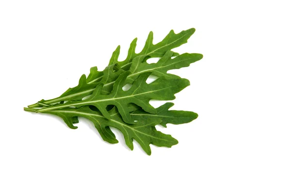 Leaves of arugula — Stock Photo, Image