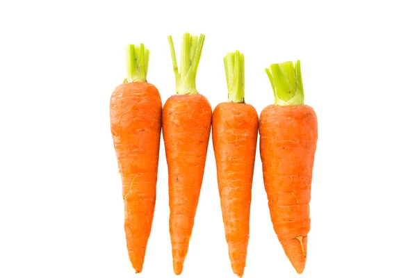 Купка моркви ізольована — стокове фото