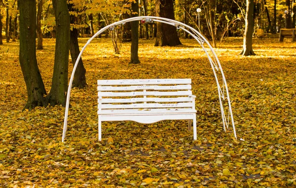 Bench of lovers in the autumn park — Stock Photo, Image