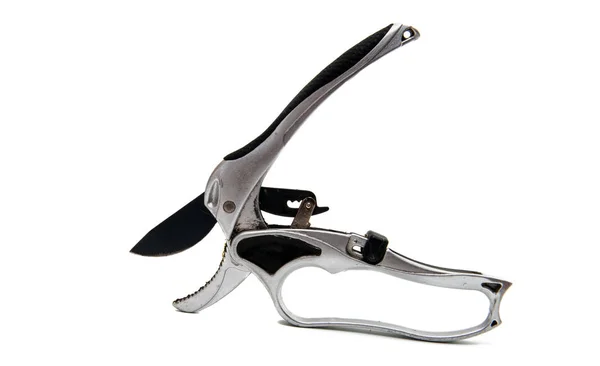 Secateurs object isolated — Stock Photo, Image