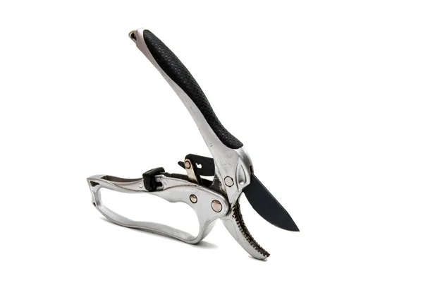 Secateurs object isolated — Stock Photo, Image