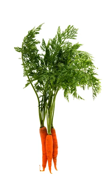 Carrots with leaves — Stock Photo, Image