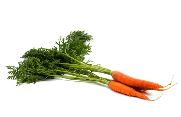 Zanahorias con hojas — Foto de Stock
