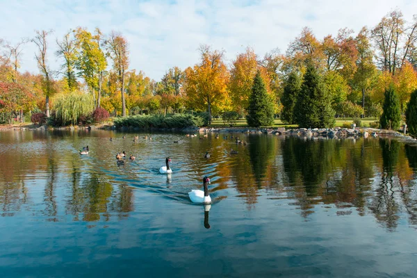 Podzimní krajina rybník — Stock fotografie