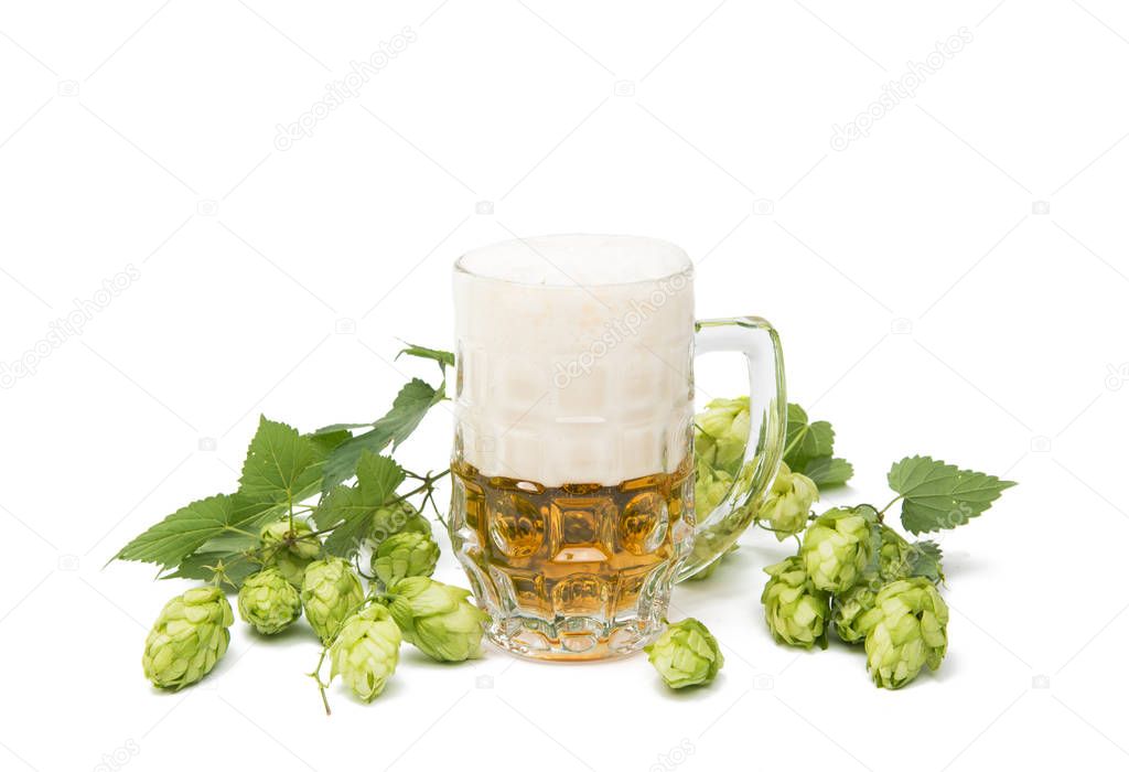 Cones of hops with a glass of beer 