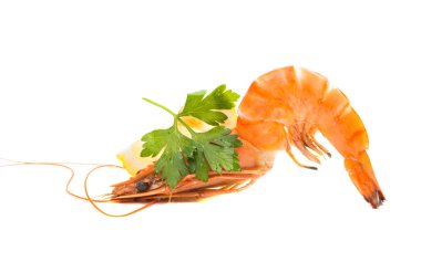 haşlanmış karides izole 