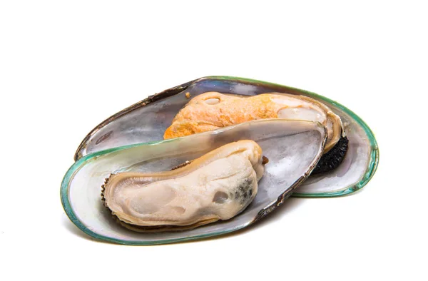 Grandi cozze isolate — Foto Stock