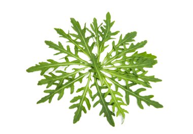 izole rucola salat 