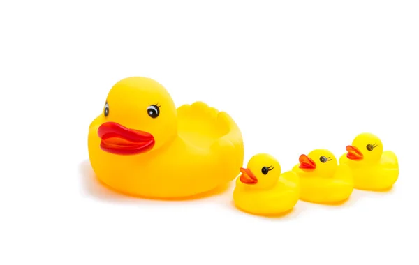 rubber ducks isolated