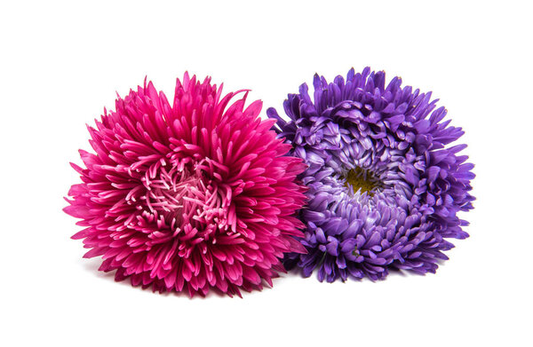 Цветы изолированы
 