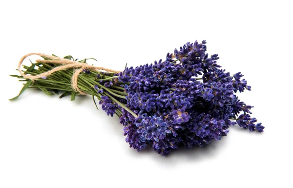 Purple bouquet Lavender flowers — Stock Photo, Image