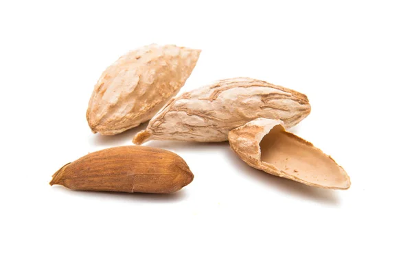 Almonds in shell — Stock Photo, Image