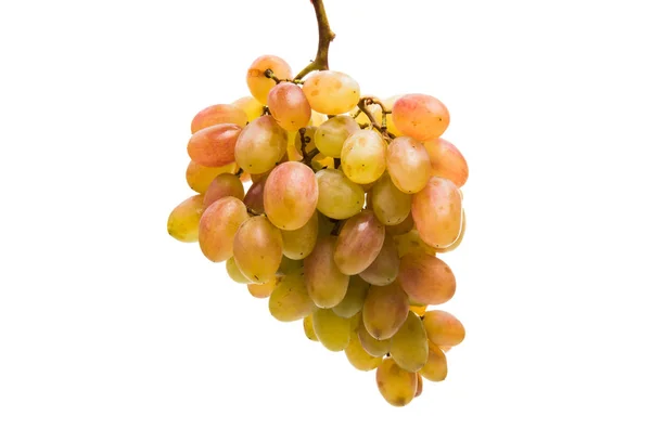 Un grappolo d'uva — Foto Stock