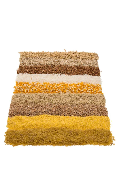Zestaw kolekcja ziarna zbóż — Zdjęcie stockowe