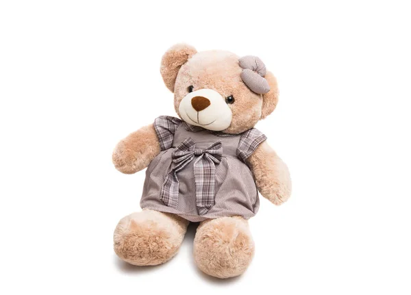 Urso de brinquedo macio isolado — Fotografia de Stock