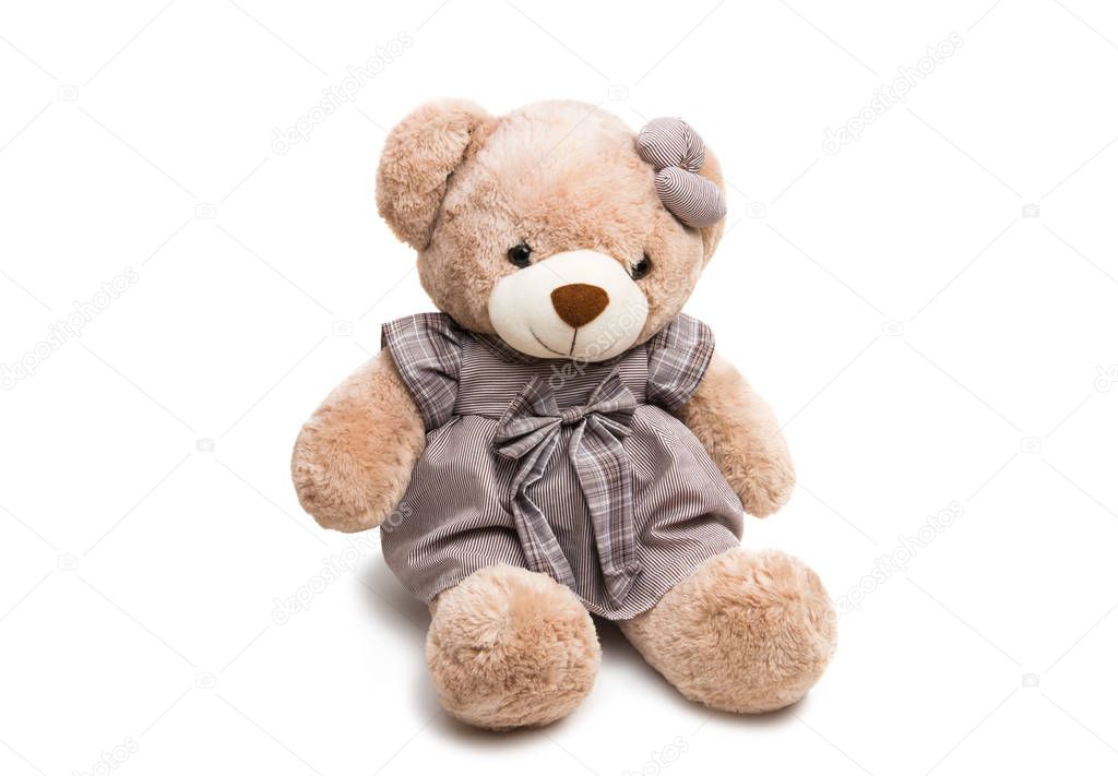soft toy bear isolated 