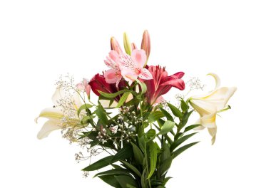 Zambak çiçeği soyutlanmış 