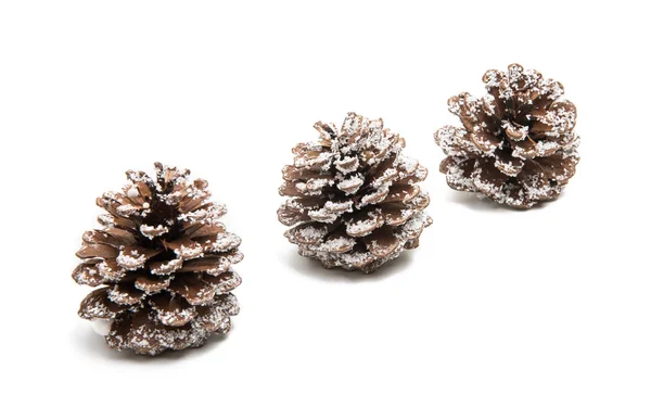 Pine cones isolated — Stock Photo, Image