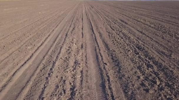 Video del campo arado de la tierra desde el aire Metraje De Stock