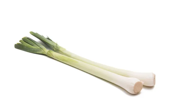 Green leek isolated — Stock Photo, Image