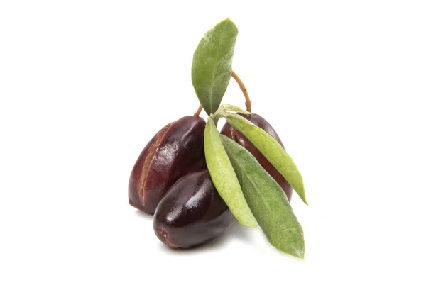 Olives fruits isolés — Photo