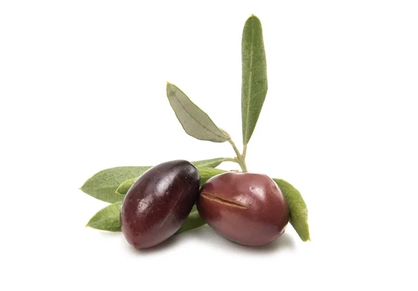 Olives fruits isolés — Photo