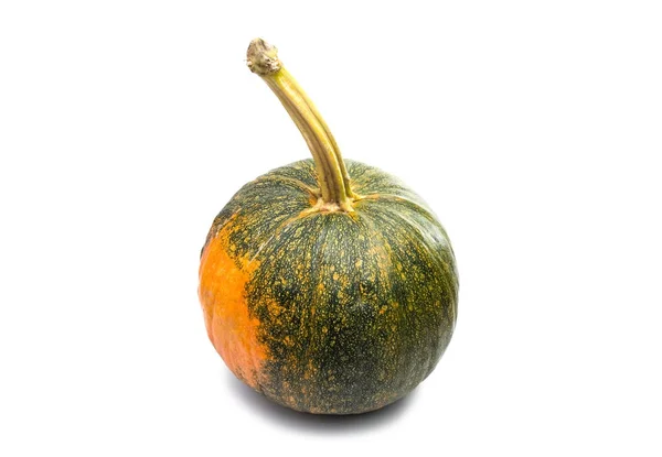 Calabaza de agricultura aislada —  Fotos de Stock