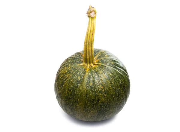 Pumpa jordbruk isolerade — Stockfoto