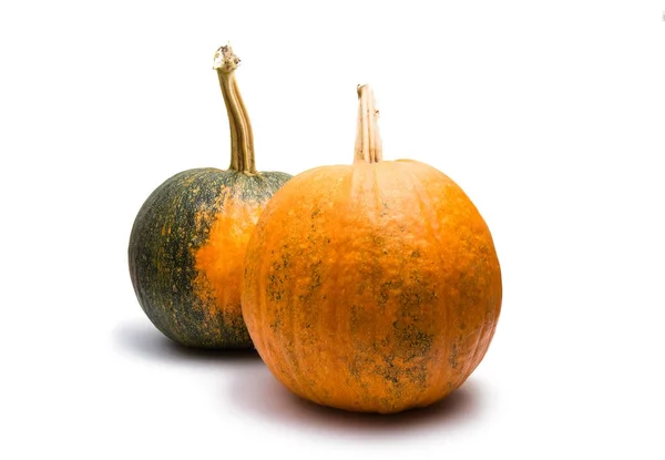 Pumpkin agriculture isolated — Stock Photo, Image