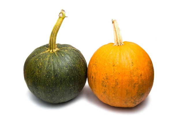 Pumpkin agriculture isolated — Stock Photo, Image